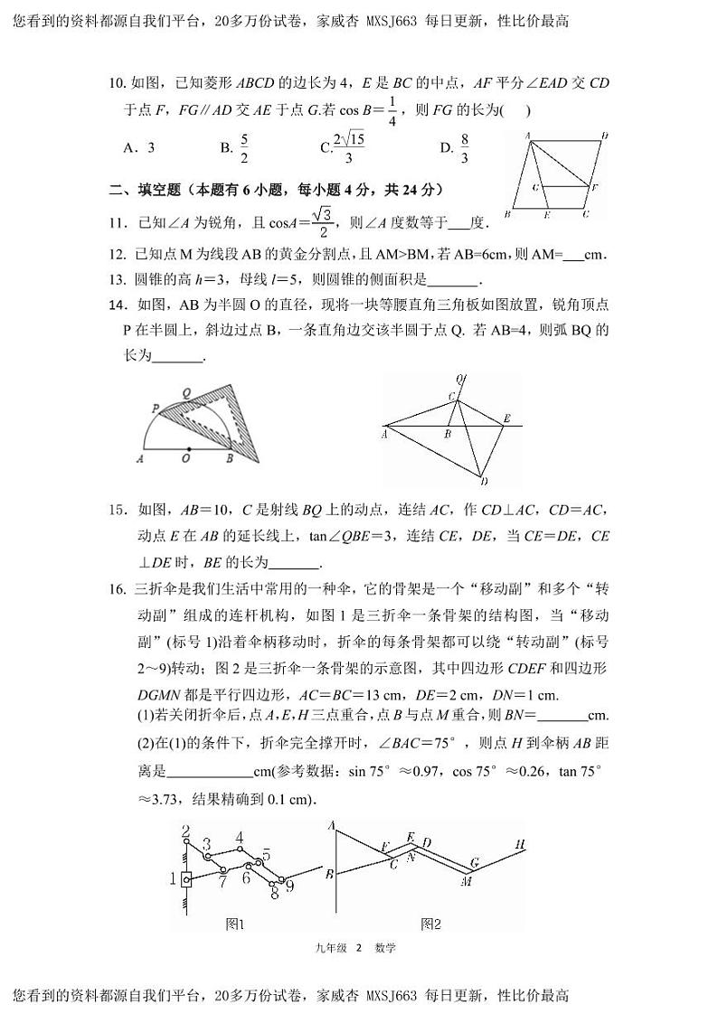 浙江省义乌市丹溪中学2023-2024学年九年级下学期开学考试数学试卷02