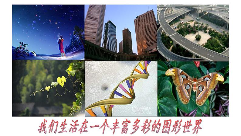 1.1我们身边的图形世界 课件 2023-2024学年青岛版数学七年级上册03