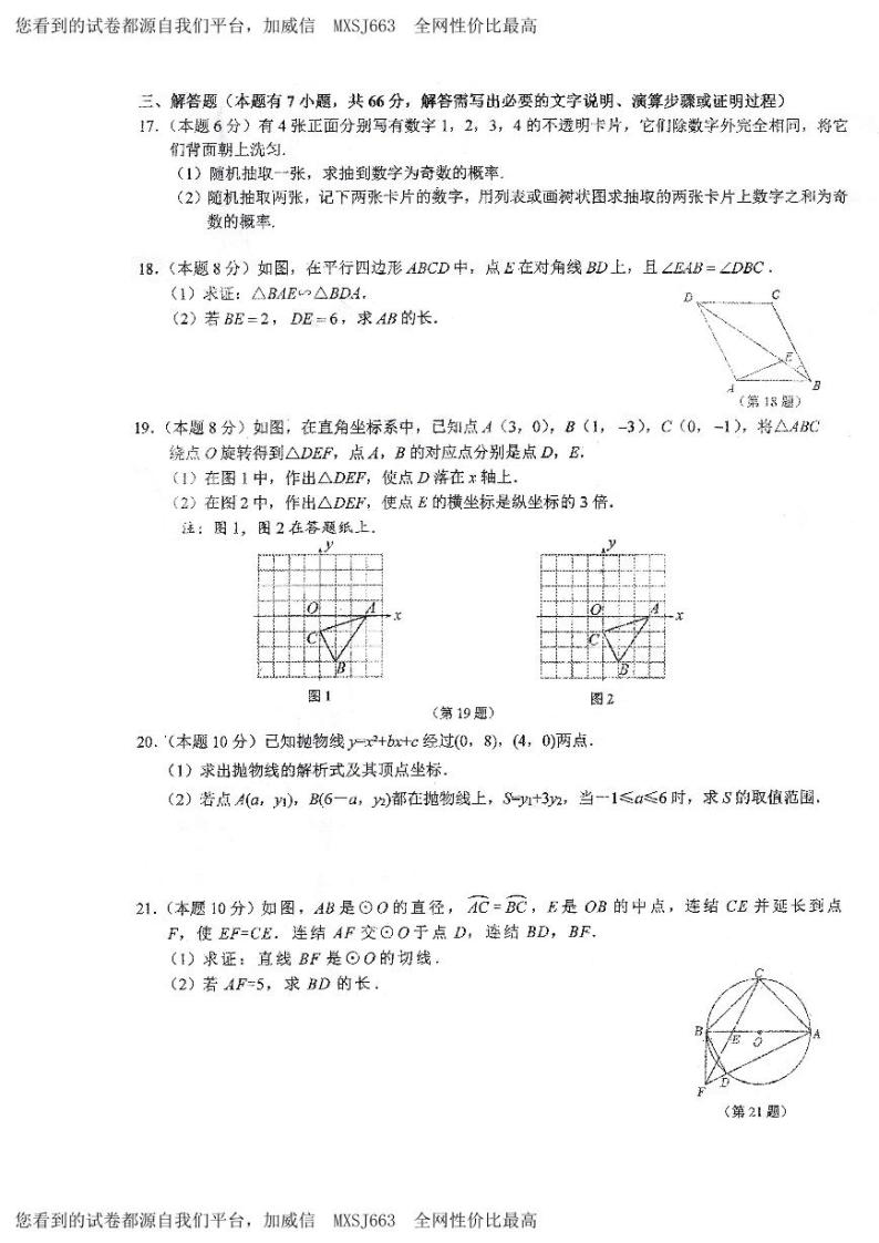 浙江省温州南浦实验中学2023--2024学年九年级下学期开学考试数学试卷03