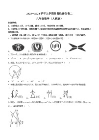 河南省焦作市武陟县2023-2024学年九年级上学期阶段性考试二数学试题