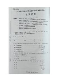 2024年河北省邯郸市广平县中考模拟预测数学试题（图片版无答案）