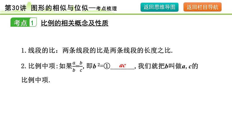 第30讲 图形的相似与位似课件---2024年中考数学一轮复习05