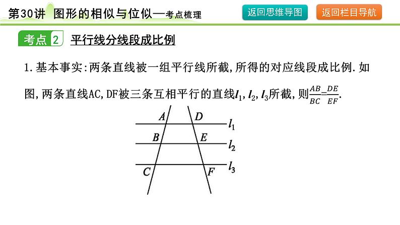 第30讲 图形的相似与位似课件---2024年中考数学一轮复习08