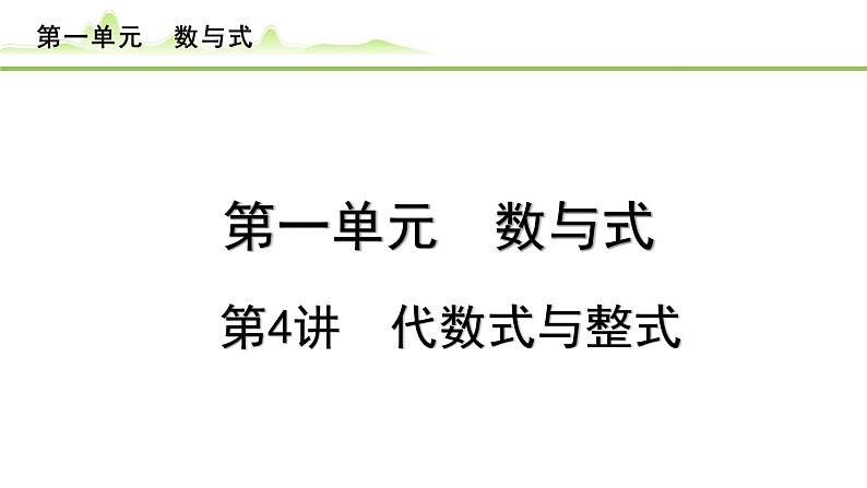 第4讲 代数式与整式课件---2024年中考数学一轮复习01