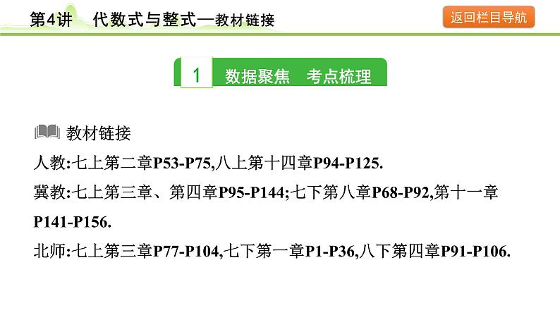 第4讲 代数式与整式课件---2024年中考数学一轮复习03