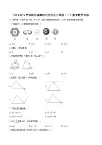 2023-2024学年河北省廊坊市安次区八年级（上）期末数学试卷(含详细答案解析)