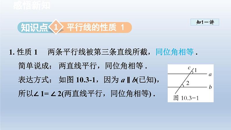 2024七下数学第10章相交线平行线和平移10.3平行线的性质课件（沪科版）第3页