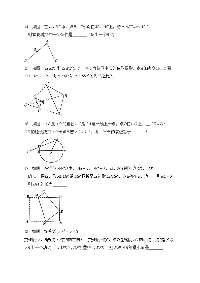 江苏省宿迁市沭阳县2024届九年级上学期末学情检测数学试卷(含答案)第3页