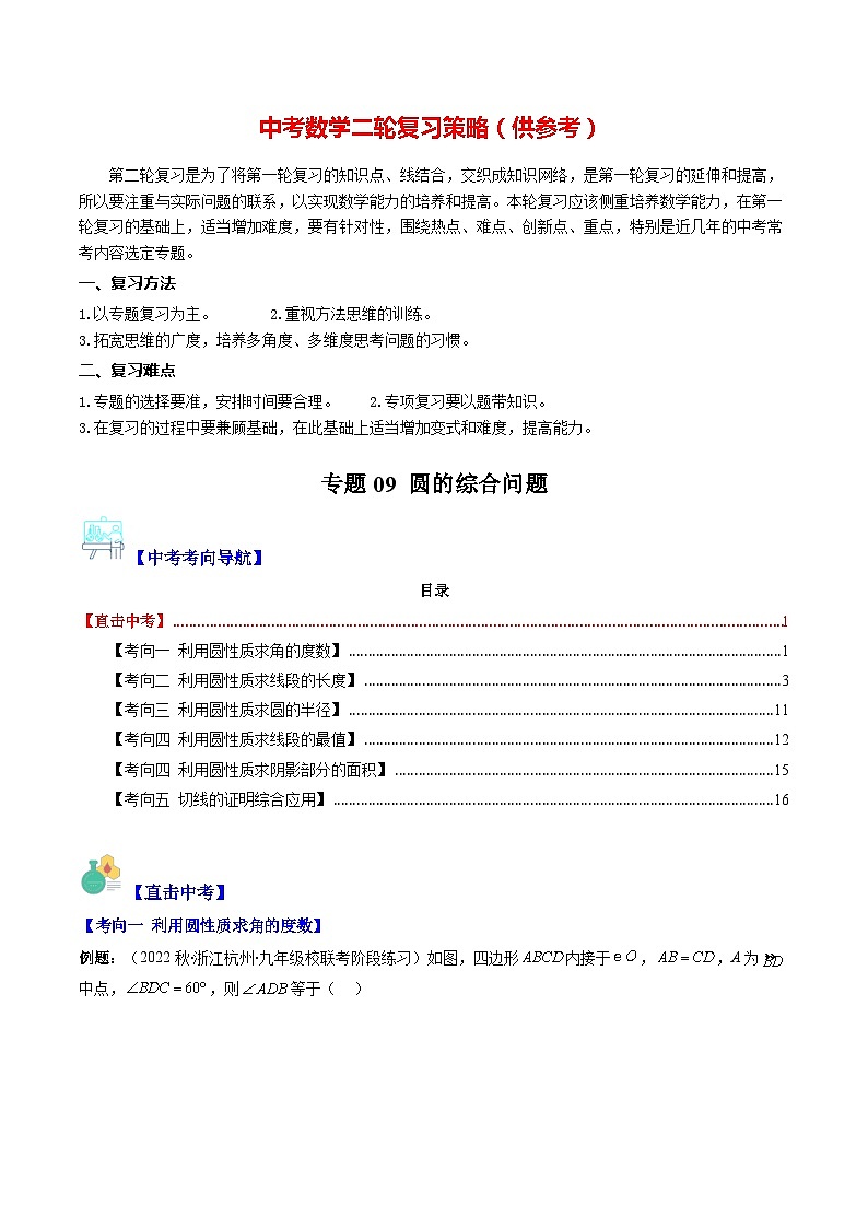 专题09 圆的综合问题（重点突围）(原卷版)第1页