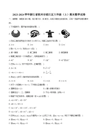 2023-2024学年浙江省杭州市滨江区八年级（上）期末数学试卷（含详细答案解析）