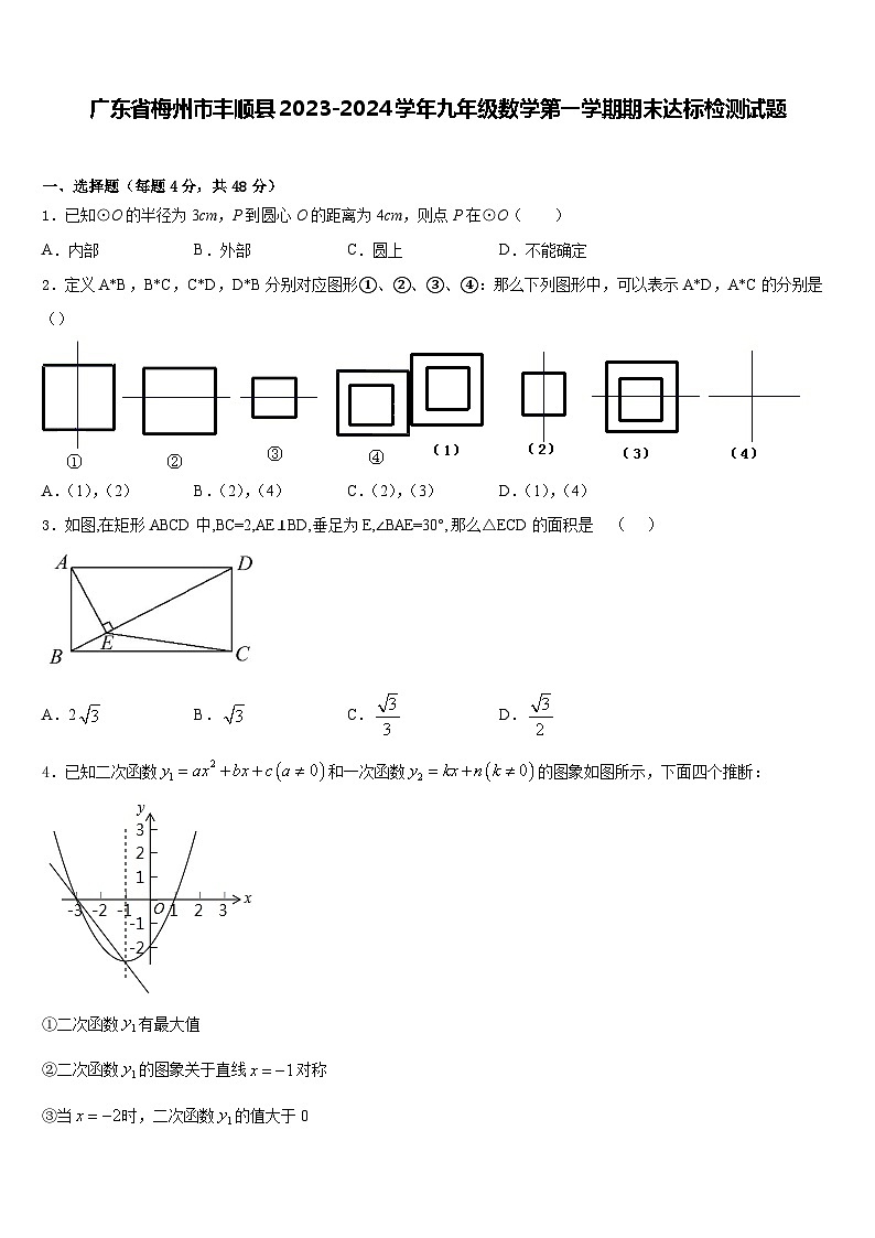 广东省梅州市丰顺县2023-2024学年九年级数学上学期期末达标检测试题+第1页
