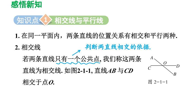 2.1 两条直线的位置关系 北师大版数学七年级下册导学课件第3页