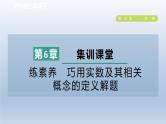 2024春七下数学第6章实数集训课堂练素养巧用实数及其相关概念的定义解题课件（沪科版）