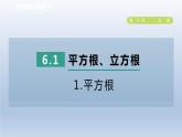 2024春七下数学第6章实数6.1平方根立方根1平方根课件（沪科版）