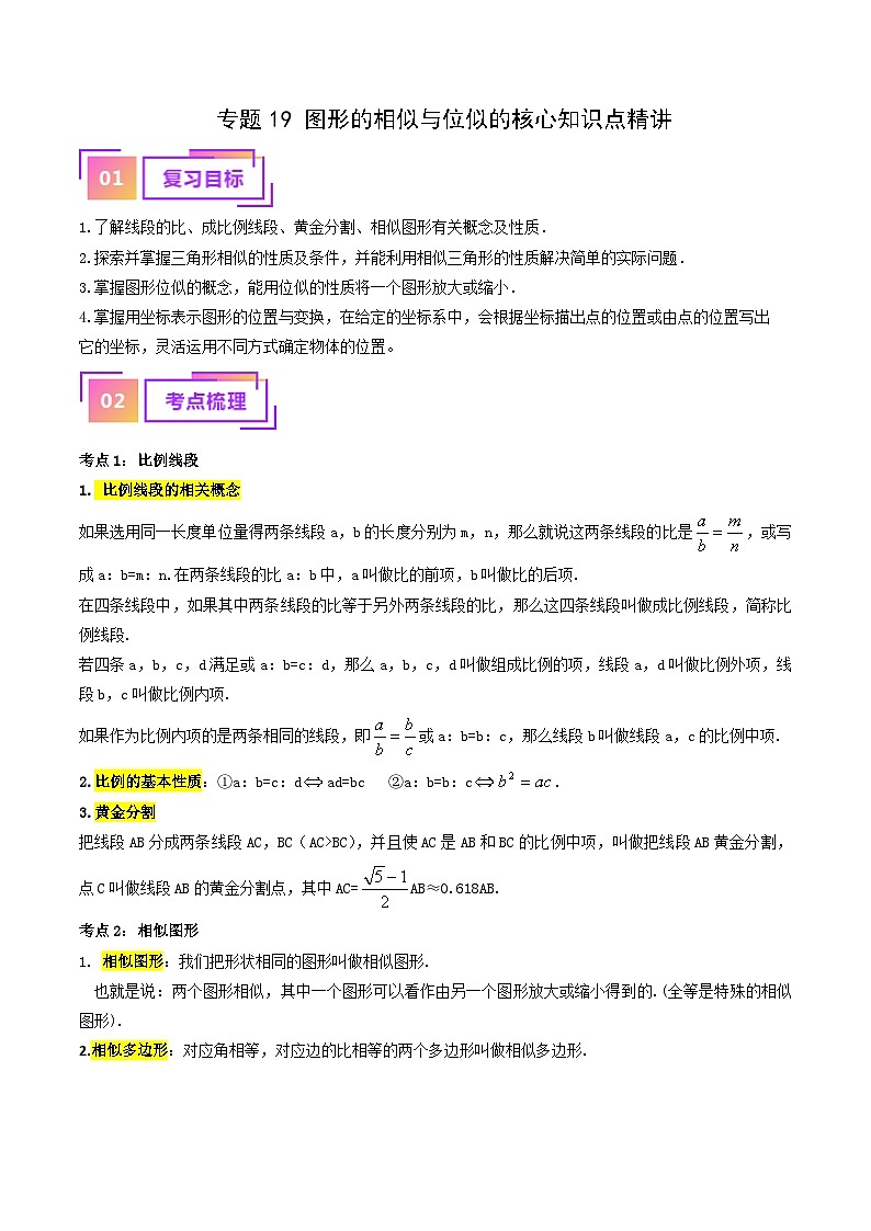 专题19 图形的相似与位似的核心知识点精讲-备战2024年中考数学一轮复习考点帮（学生版）第1页