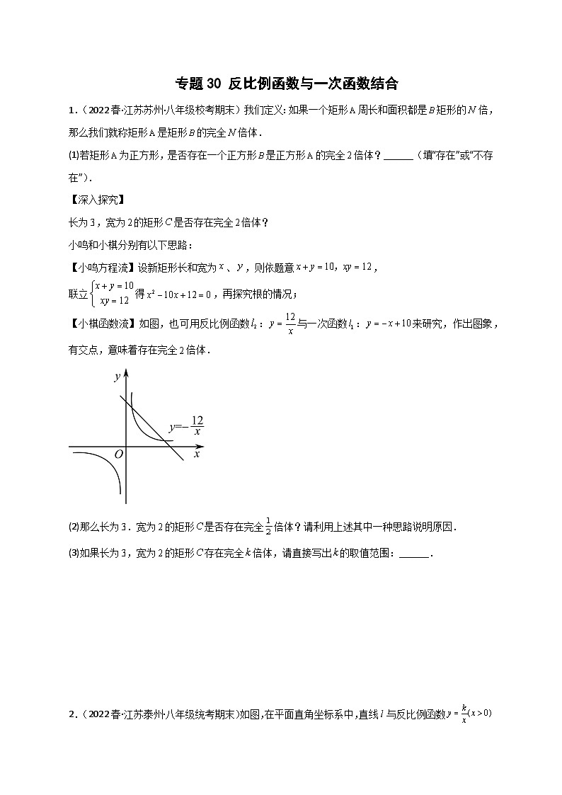 专题30 反比例函数与一次函数结合（原卷版）第1页