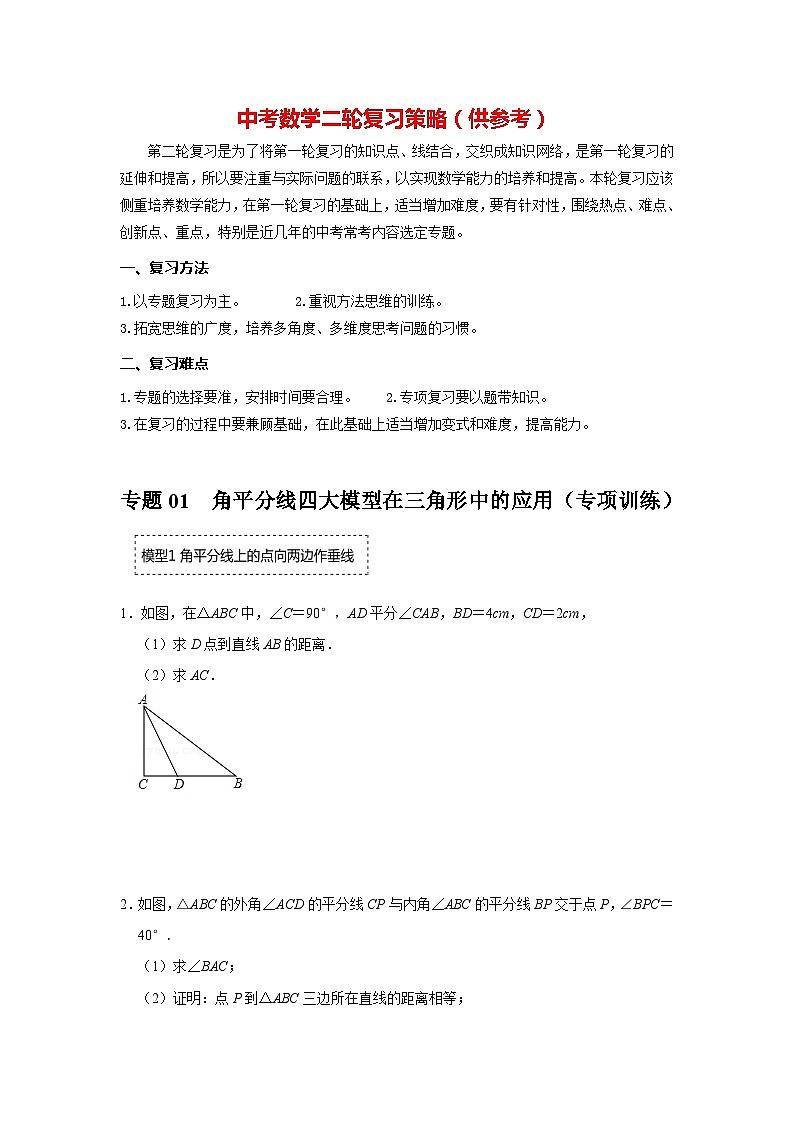 备战中考数学《重难点解读•专项训练》专题01 角平分线四大模型在三角形中的应用（专项训练）01