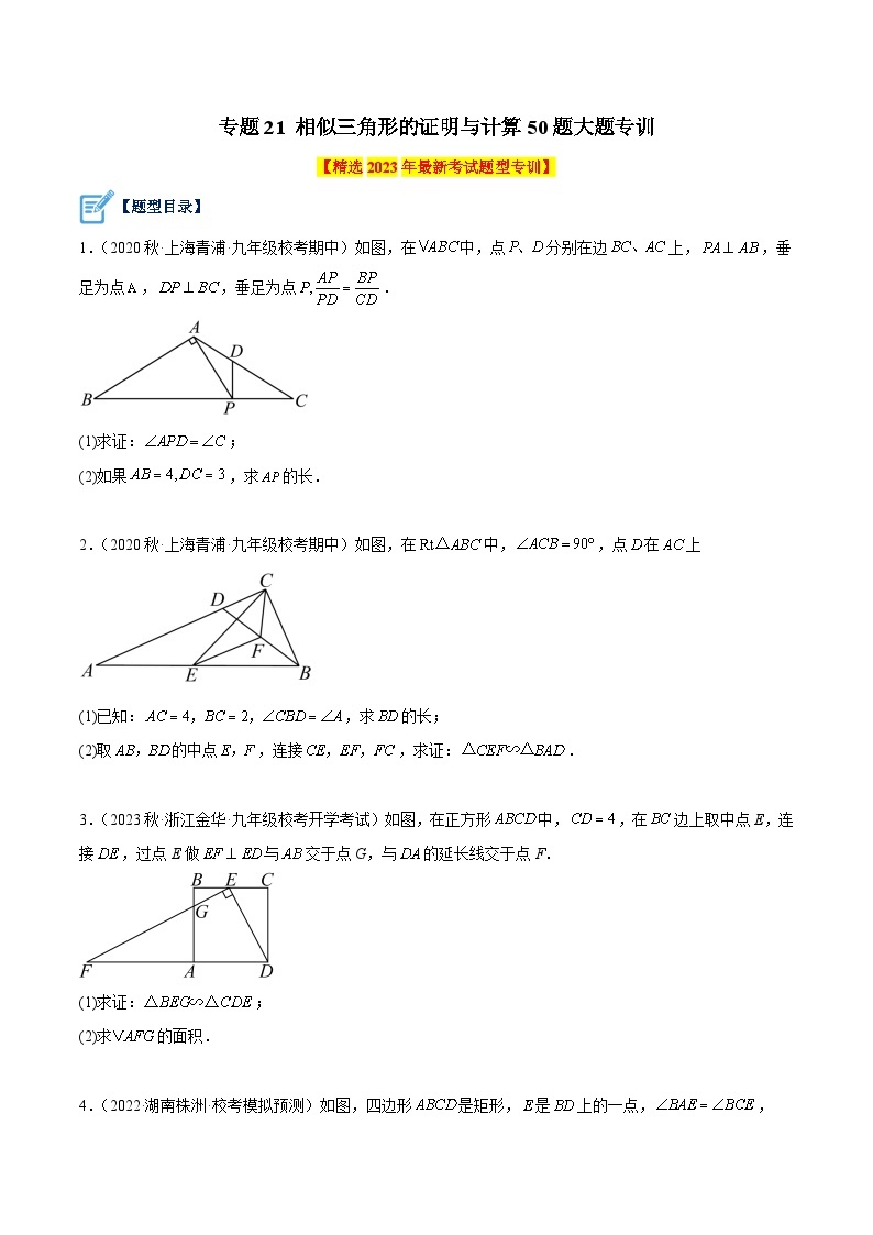 专题21 相似三角形的证明与计算50道大题专训-2023-2024学年九年级数学上册重难点高分突破（浙教版）01