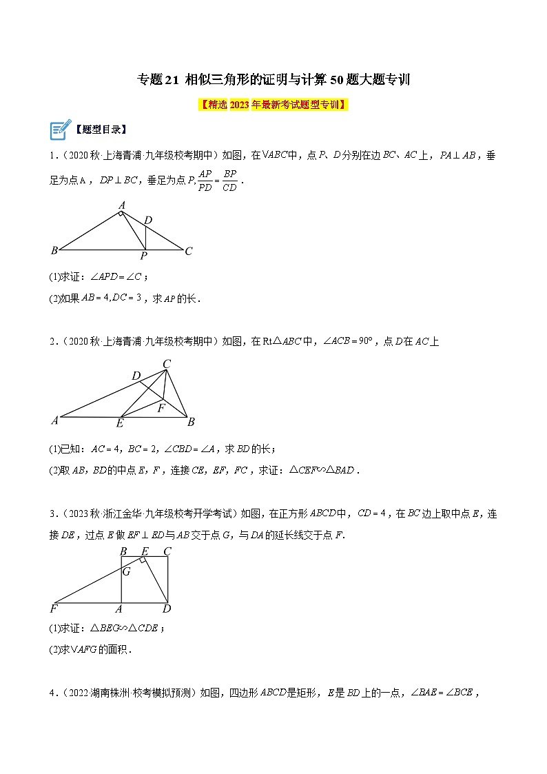 专题21 相似三角形的证明与计算50道大题专训-2023-2024学年九年级数学上册重难点高分突破（浙教版）01