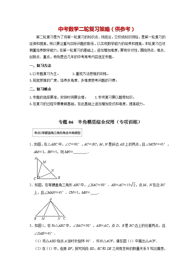 备战中考数学《重难点解读•专项训练》专题06 半角模型综合应用（专项训练）01