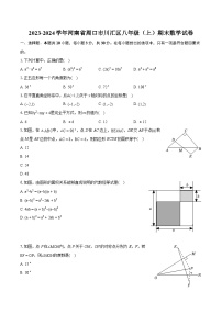 2023-2024学年河南省周口市川汇区八年级（上）期末数学试卷(含详细答案解析)