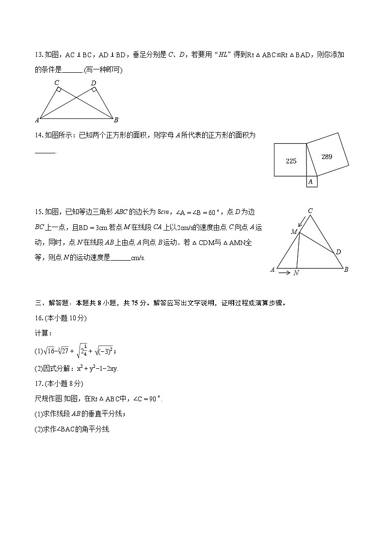 2023-2024学年河南省周口市太康县八年级（上）期末数学试卷(含详细答案解析)03