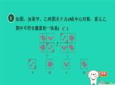 2024春九年级数学下册第24章圆24.1旋转2中心对称作业课件新版沪科版