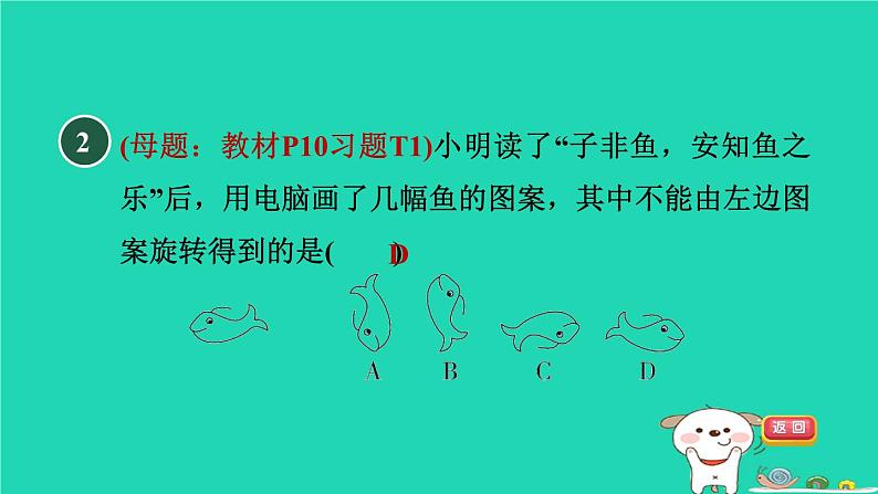 2024春九年级数学下册第24章圆测素质图形的旋转及应用作业课件新版沪科版第4页