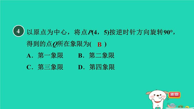 2024春九年级数学下册第24章圆测素质图形的旋转及应用作业课件新版沪科版第6页