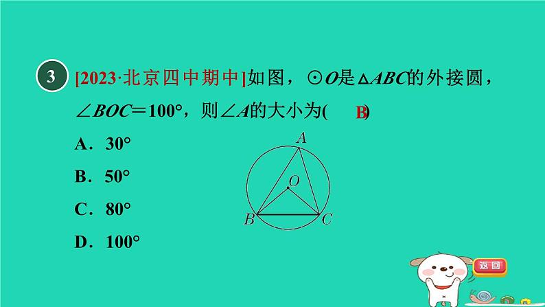 2024春九年级数学下册第24章圆测素质圆及圆的基本性质作业课件新版沪科版06