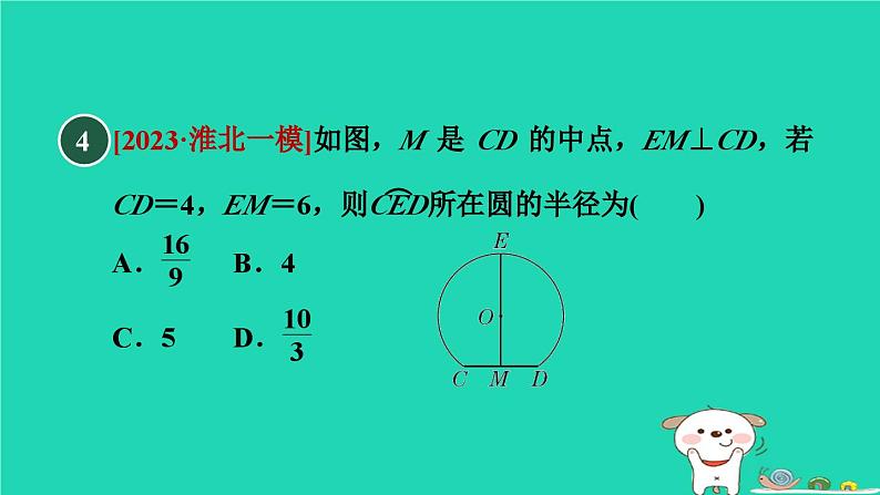 2024春九年级数学下册第24章圆测素质圆及圆的基本性质作业课件新版沪科版07