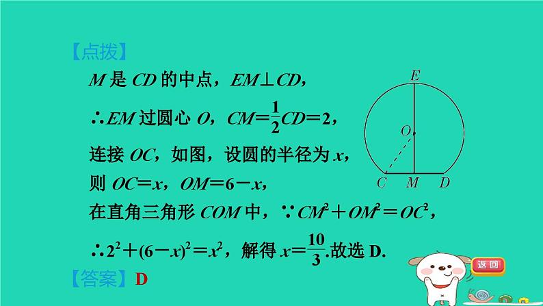 2024春九年级数学下册第24章圆测素质圆及圆的基本性质作业课件新版沪科版08