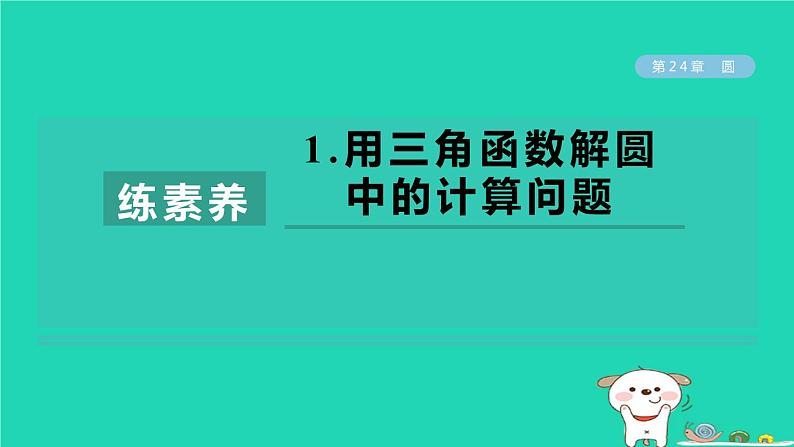 2024春九年级数学下册第24章圆练素养1用三角函数解圆中的计算问题作业课件新版沪科版第1页