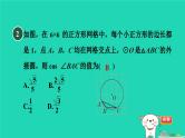2024春九年级数学下册第24章圆练素养1用三角函数解圆中的计算问题作业课件新版沪科版
