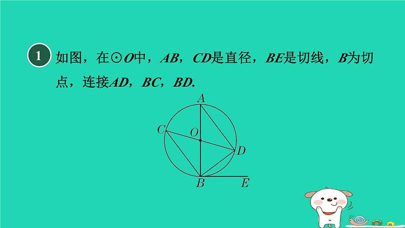 2024春九年级数学下册第24章圆练素养2圆中常见的计算题型作业课件新版沪科版03