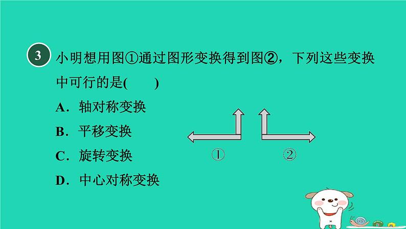 2024春九年级数学下册第24章圆阅读与欣赏1图形变换中的图案设计作业课件新版沪科版第6页