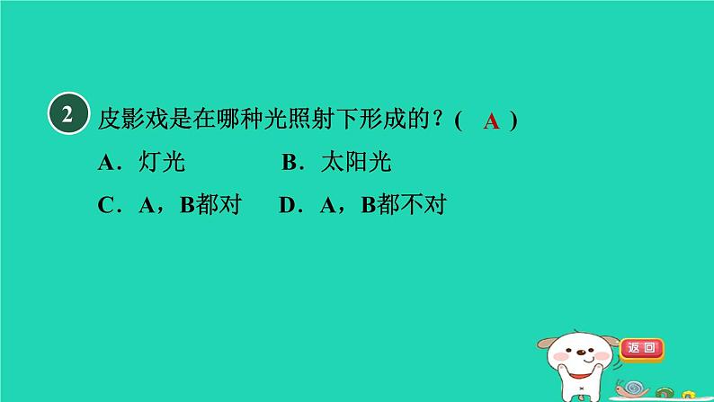 2024春九年级数学下册第25章投影与视图25.1投影1平行投影与中心投影作业课件新版沪科版第4页