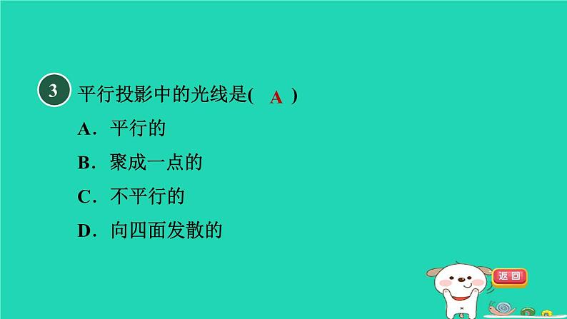 2024春九年级数学下册第25章投影与视图25.1投影1平行投影与中心投影作业课件新版沪科版第5页