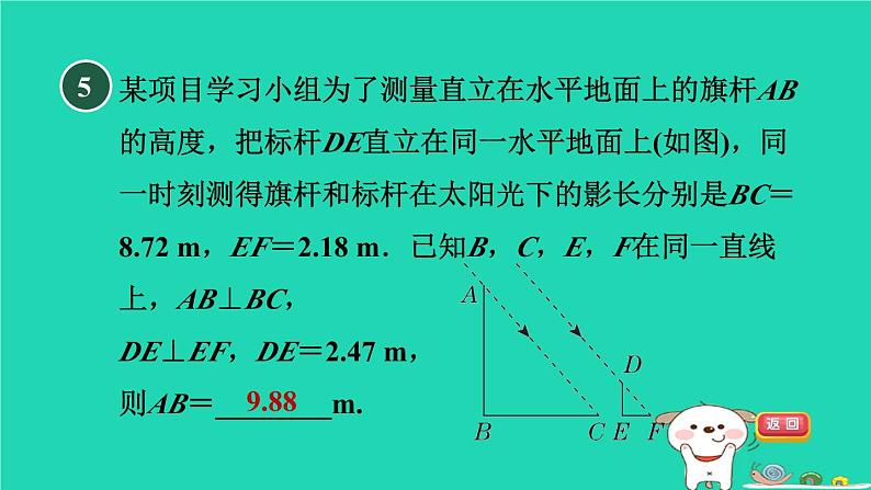 2024春九年级数学下册第25章投影与视图25.1投影1平行投影与中心投影作业课件新版沪科版第8页