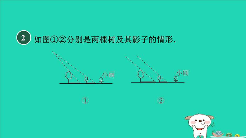 2024春九年级数学下册第25章投影与视图练素养1平行投影中心投影正投影的五种常见应用作业课件新版沪科版第4页