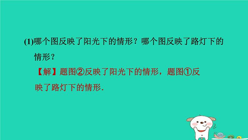 2024春九年级数学下册第25章投影与视图练素养1平行投影中心投影正投影的五种常见应用作业课件新版沪科版第5页