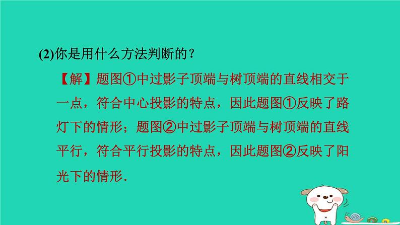 2024春九年级数学下册第25章投影与视图练素养1平行投影中心投影正投影的五种常见应用作业课件新版沪科版第6页