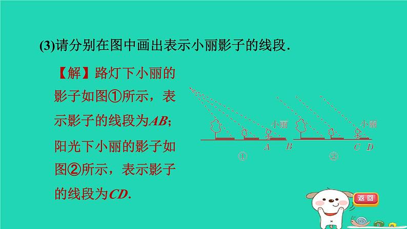 2024春九年级数学下册第25章投影与视图练素养1平行投影中心投影正投影的五种常见应用作业课件新版沪科版第7页