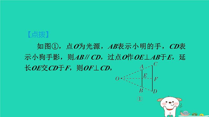 2024春九年级数学下册第25章投影与视图全章热门考点整合应用作业课件新版沪科版第5页