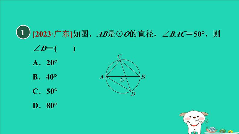 2024春九年级数学下册第24章圆24.3圆周角2圆周角和直径的关系作业课件新版沪科版03