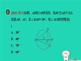 2024春九年级数学下册第24章圆24.3圆周角2圆周角和直径的关系作业课件新版沪科版