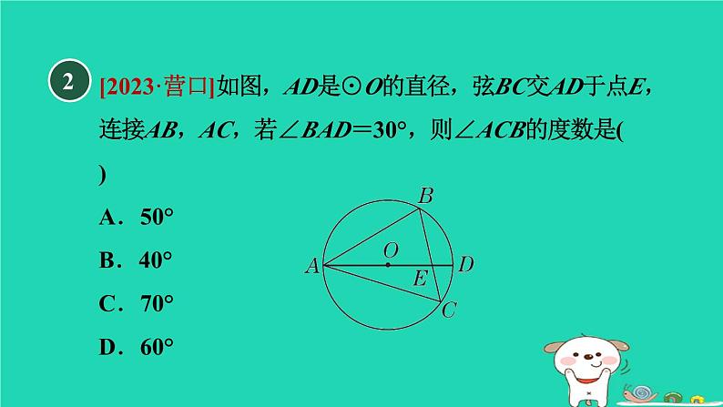 2024春九年级数学下册第24章圆24.3圆周角2圆周角和直径的关系作业课件新版沪科版05