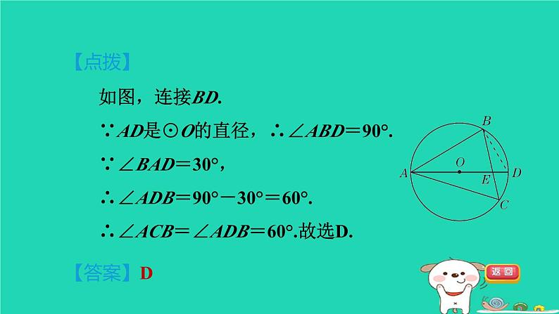 2024春九年级数学下册第24章圆24.3圆周角2圆周角和直径的关系作业课件新版沪科版06