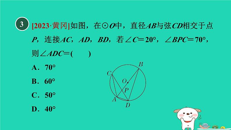 2024春九年级数学下册第24章圆24.3圆周角2圆周角和直径的关系作业课件新版沪科版07