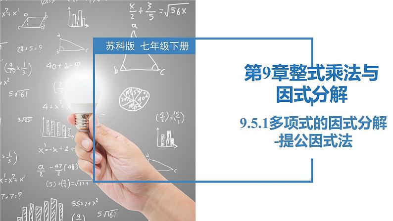 9.5.1多项式的因式分解-提公因式法（同步课件）-2023-2024学年七年级数学下册同步精品课件+分层练习（苏科版）01